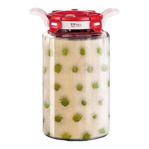 青梅汁泡酒玻璃瓶密封专用