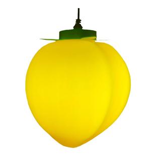 灯光节发光led水果灯 led桃子 led苹果挂件春节街道亮化装饰灯