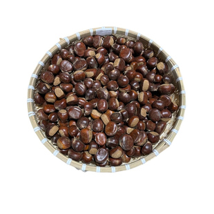 2025年新鲜板栗老树小油栗河北正宗迁西老树板栗高山毛栗子包邮