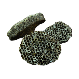 蜂房中药材静萱正品野生软蜂房整个露蜂房粉马蜂窝干货老蜂巢