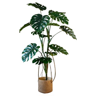 仿真龟背竹高端轻奢室内阳台角落装饰办公室大型落地摆件仿生绿植