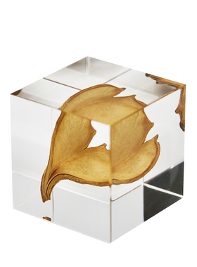 NEWKNG流晶轻奢创意桌面树叶摆件