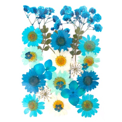 diy干花包真花植物标本