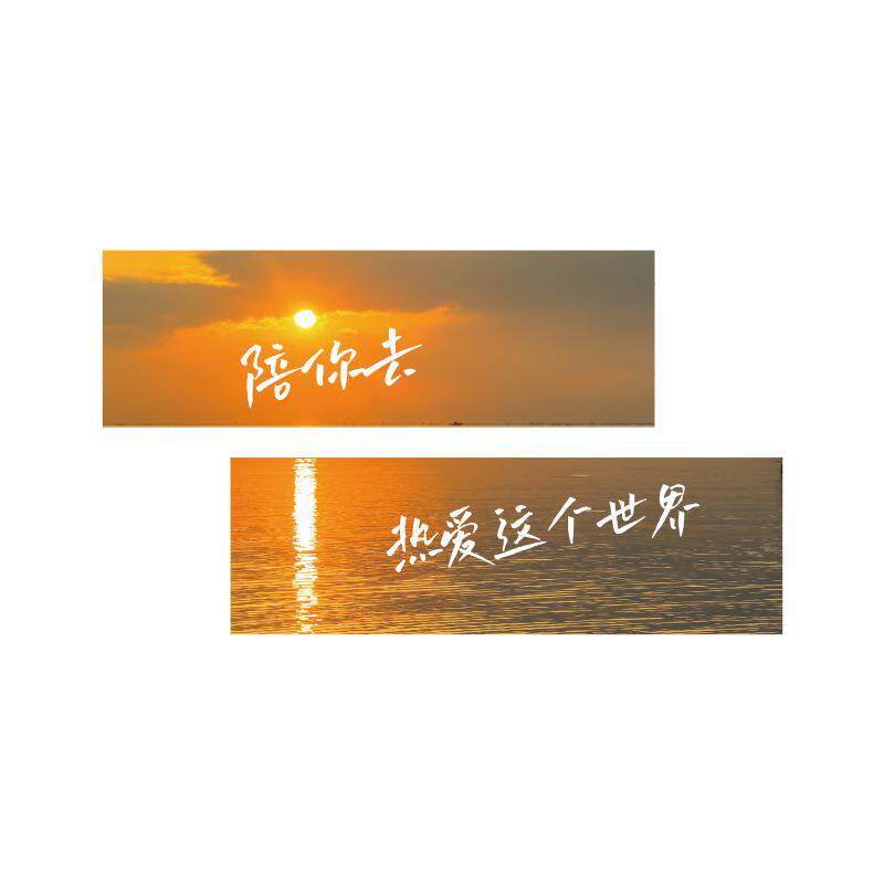 网红打卡拍照区布置民宿小院露营咖啡厅店造背景氛围形象墙面装饰