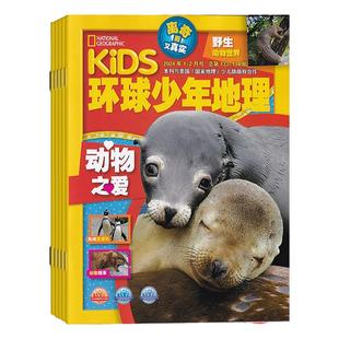 2025年1-12月【送礼品/全年订阅】环球少年地理 杂志 2026年3月起订 打包美国国家地理少年版 人文自然地理知识期刊杂志 6-12岁