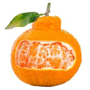 四川不知火丑橘水果新鲜整箱大果时令当季斤桔子丑柑橘子非耙耙