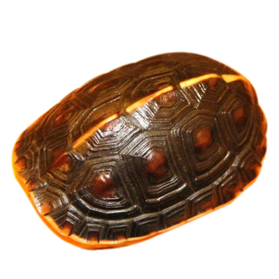 天然精品完整真全龟甲龟壳手把件