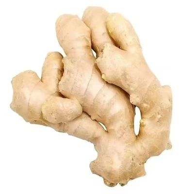 山东特级水洗正宗生姜风干大姜现挖黄姜新鲜月子批发老姜姜块