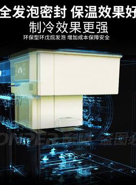 东贝冰淇淋机商用酸奶甜筒机免清洗软冰激凌机器CKX100PLUS雪糕