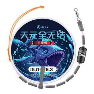 天元全无结主线组pe加固成品线组尼龙原丝鱼线野钓耐磨钓鱼线组