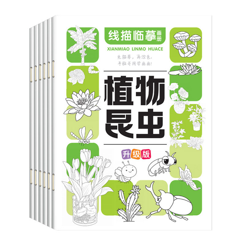 儿童线描临摹画册全6册线稿描摹本入门零基础画画本植物昆虫瓜果蔬菜动物人物战甲幼儿控笔训练简笔画线稿绘画描线控笔图画本