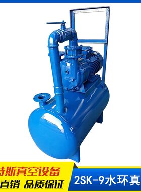 瑞特斯厂家批发水环真空泵 按需2BV5131真空泵-带控制柜