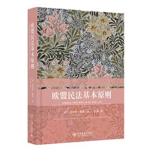 正版 欧盟民法基本原则 [德]诺贝特·赖希 金晶译 北京大学出版社 民法公司法劳动法竞争法反歧视法 欧洲法院判例学术领域法学理论