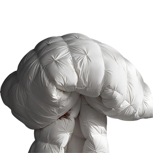 伊维度五星级酒店专用正品羽绒被白鹅绒被芯混充抗菌保暖秋冬被子