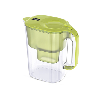 德国BWT倍世净水壶滤芯滤水壶家用4.2L大容量便携净水器镁离子