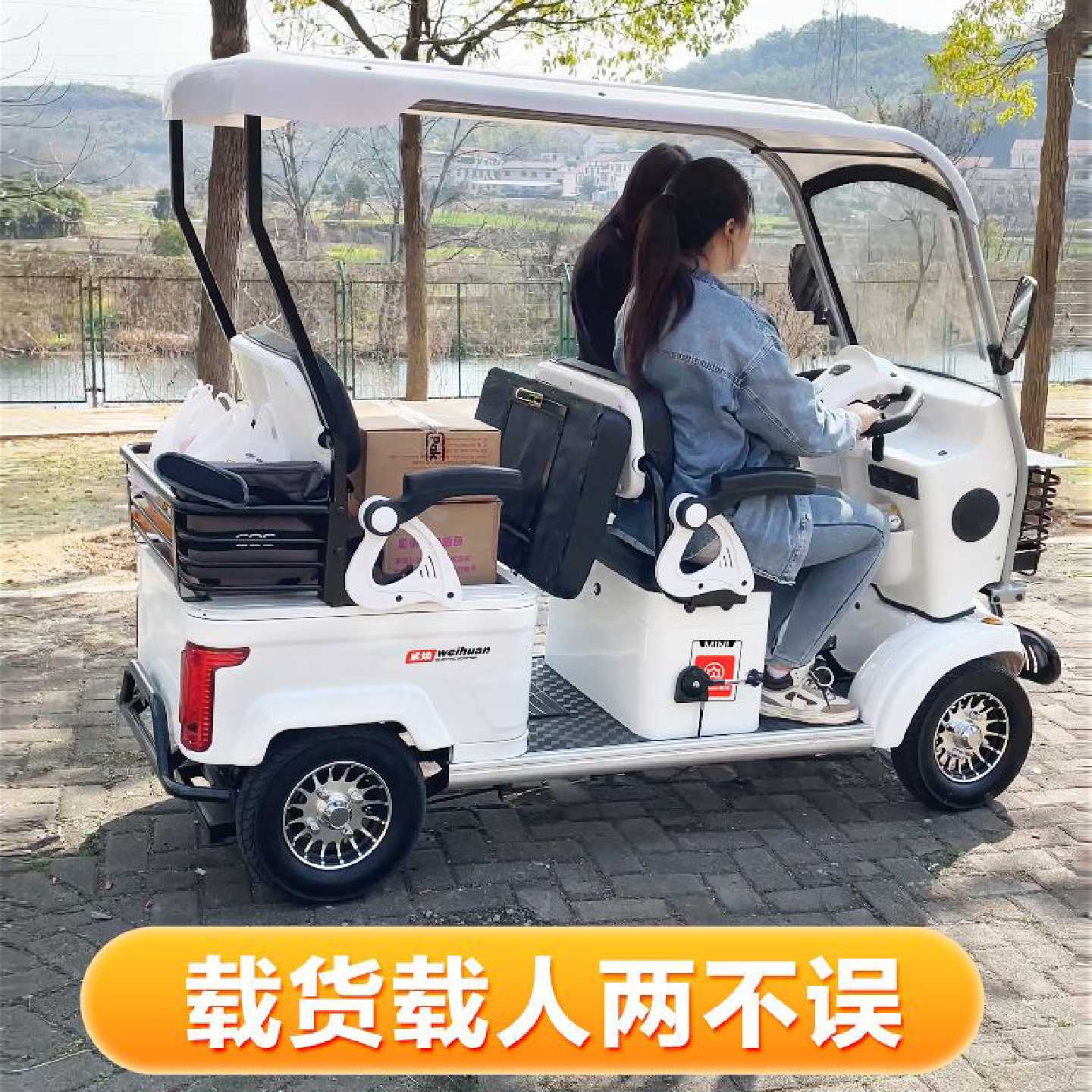 威焕老年代步车四轮新款电动车高端老人家用小巴士景区观光车成人