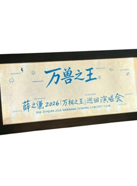 薛之谦明星演唱会荧光棒纸张收纳收藏展示小夜灯充电款创意摆件