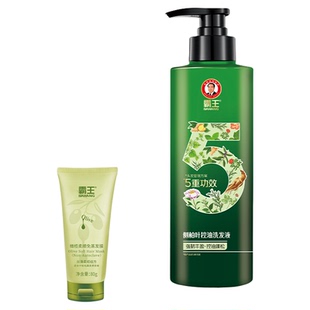 霸王控油蓬松去屑洗头膏侧柏叶生姜洗发露强韧丰盈防断发洗发水