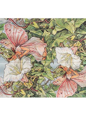 paperblanks新款文件袋