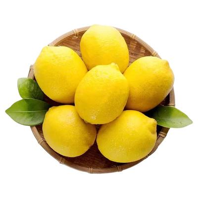 特价|奶茶店商用柠檬9斤批发价