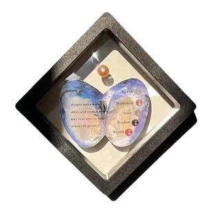 雨在赶路 创意易拉罐小蚌盲盒罐装淡水小蚌体验开珍珠蚌摆件礼物