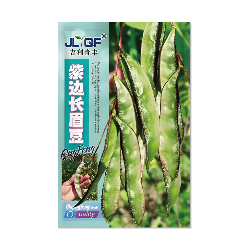 吉利青丰紫边长眉豆种子