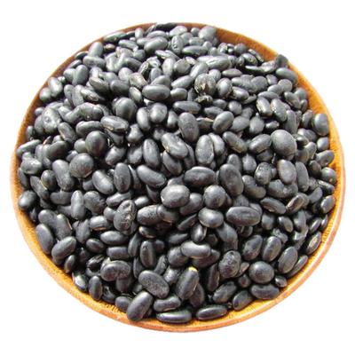 肾形黄仁药用小黑豆非转基因