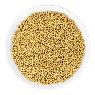 白芥子中药材静萱正品白芥籽白介子辣菜子粉芥菜子非野生炒白芥子