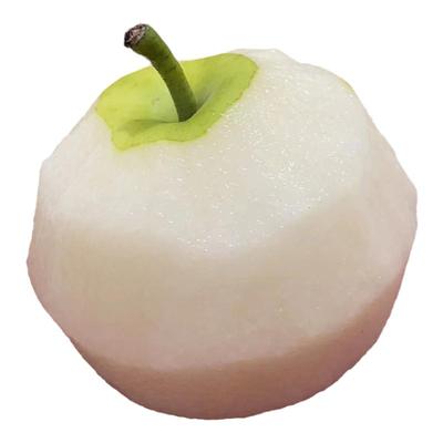 黄花梨水果百里洲砂梨翠冠梨