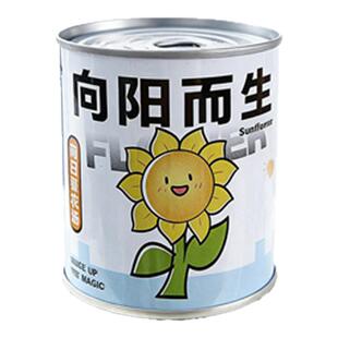 绿植小盆栽桌面摆件植物盲盒儿童情绪稳定种植罐头植树节小礼品