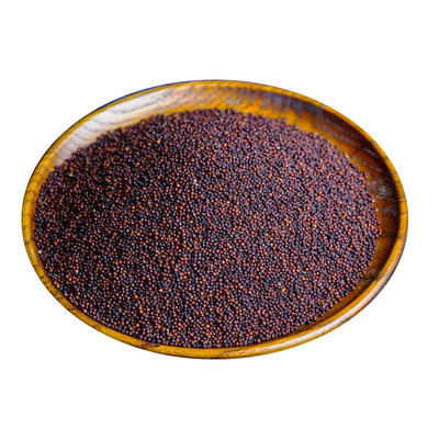 广西陈年粟米粟粉鸭脚粟五谷杂粮