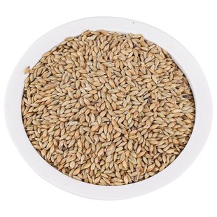 加纳利子鹦鹉粮鸟食饲料牡丹玄凤珍珠专用高蛋白脱壳白尖鸟粮大全