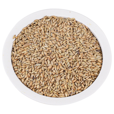 加纳利子鹦鹉粮高蛋白低脂肪