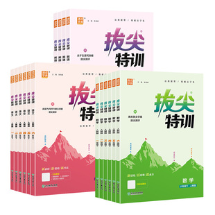【英语专项】拔尖特训英语三年级下四年级下五年级下六年级下册译林版沪教牛津外研版语文数学人教苏教北师大版课时同步练习册