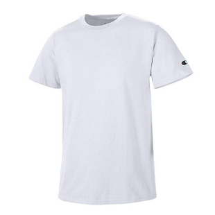 【美版多色现货】champion basic logo tee 短袖打底T恤 T425