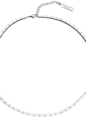 轻奢小众项圈街头风配饰锁骨链