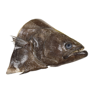 鸦片鱼头特大碟鱼头深海格陵兰比目鱼头新鲜冷冻鲽鱼头碟鱼头海鱼