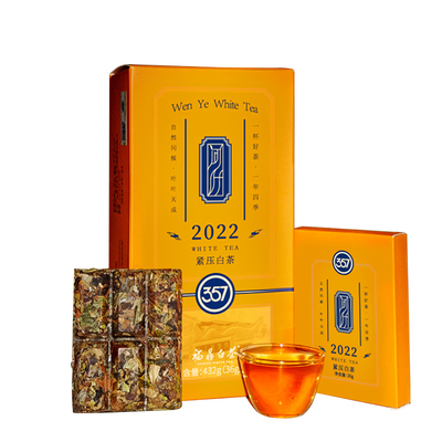 绿雪芽福鼎白茶送同款样泡试喝