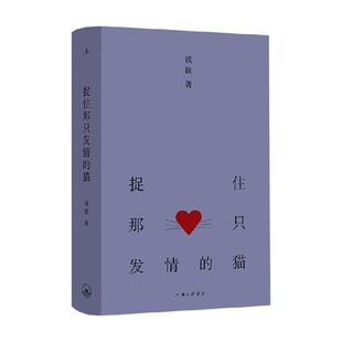 捉住那只发情的猫 谈波 著 全新小说集中国当代小说 当代文学一出东北市井黑色幽默 一场冷硬柔情文学摇滚 作品集