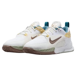 耐克（NIKE）女新款CROSSCOURT透气运动训练耐磨休闲鞋HV6008-121