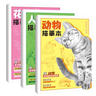 飞乐鸟·花卉动物人物描摹本 基础素描入门赠教学视频 临摹画集 画画自学 铅笔画针管笔钢笔 描红画本