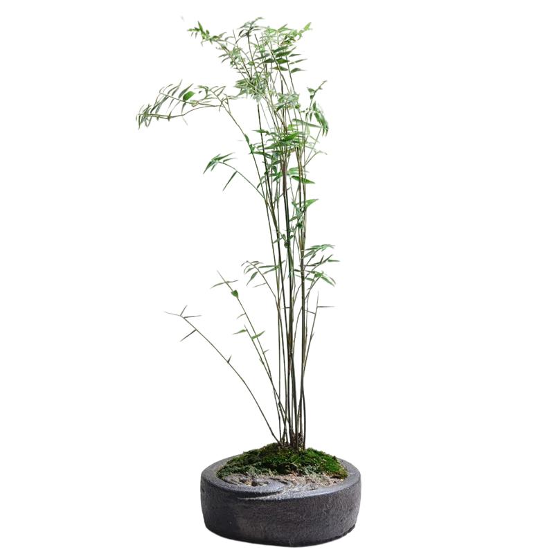 国风仿古汉砖禅意桌面高端微景观花盆
