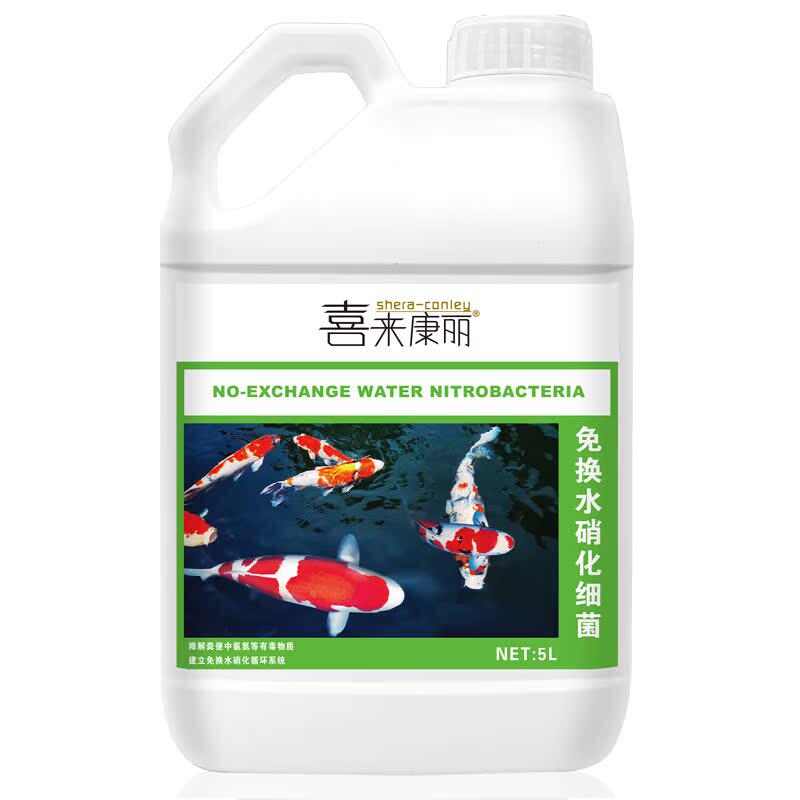 喜来康丽硝化细菌水质稳定剂
