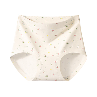 芬腾高腰纯棉内裤女士2026新款抗菌裆全棉三角短裤200斤大码胖mm