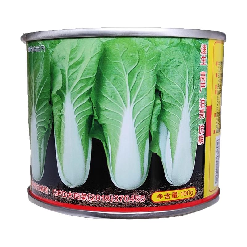速生超越小白菜种籽孑蔬菜梗青硕