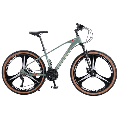 凤凰高碳钢双碟刹男女式