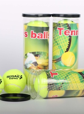 训练网球REGAIL高弹业余网球拍配件比赛桶装球套装网球3初级个