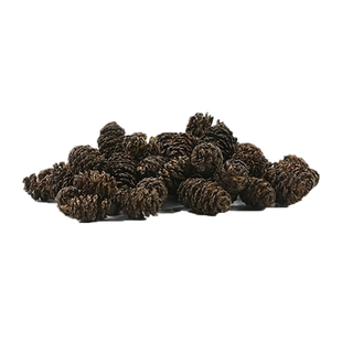 懒人叶/德国哈比Hobby榄仁叶/桤木果实/软水降低PH值防真菌/包邮