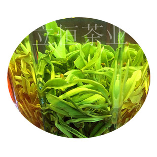 2025新茶温州绿茶泰顺三杯香茶叶早茶明前茶高山云雾香茶250g包邮