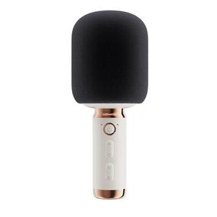 全民K歌M5话筒音响一体麦克风用KTV无线K歌娱乐+腾讯超级影视会员